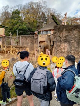 GridArt_20260328_133257933